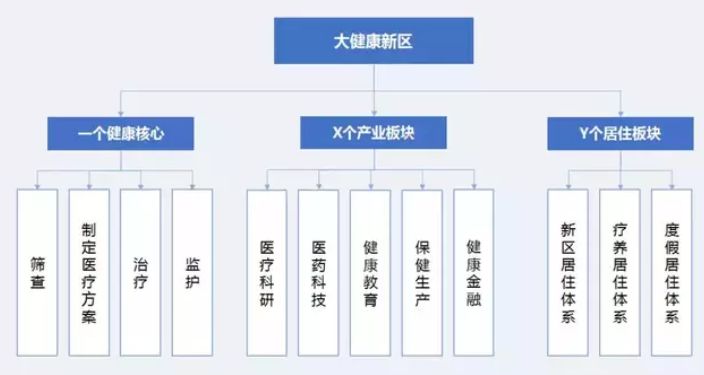 大健康新區(qū)開發(fā)架構(gòu).jpg