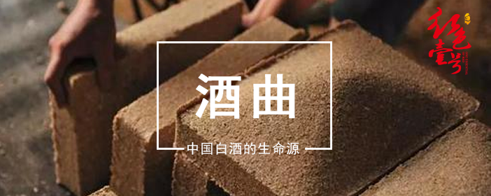 酒曲中國白酒的生命源702.png