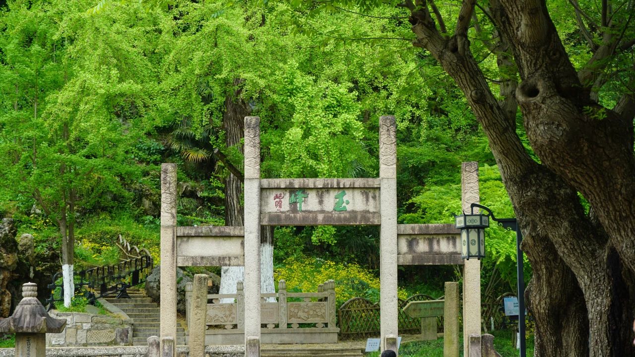 夏風(fēng)中，有“獨屬于夏日”的生氣4.jpg