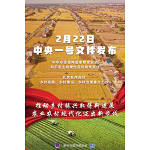 權威快報丨2022年中央一號文件提出推動鄉(xiāng)村振興取得新進展