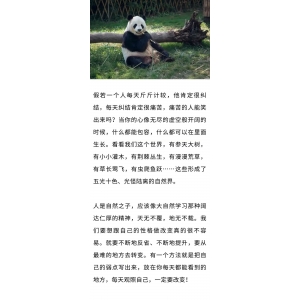 不計(jì)較，才是真正的愛自己