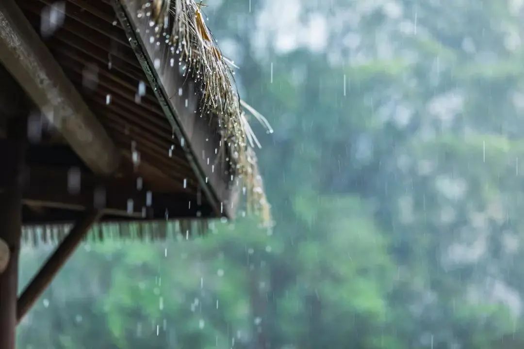 聽雨聞香，再喝一壺不求解渴的酒.jpg